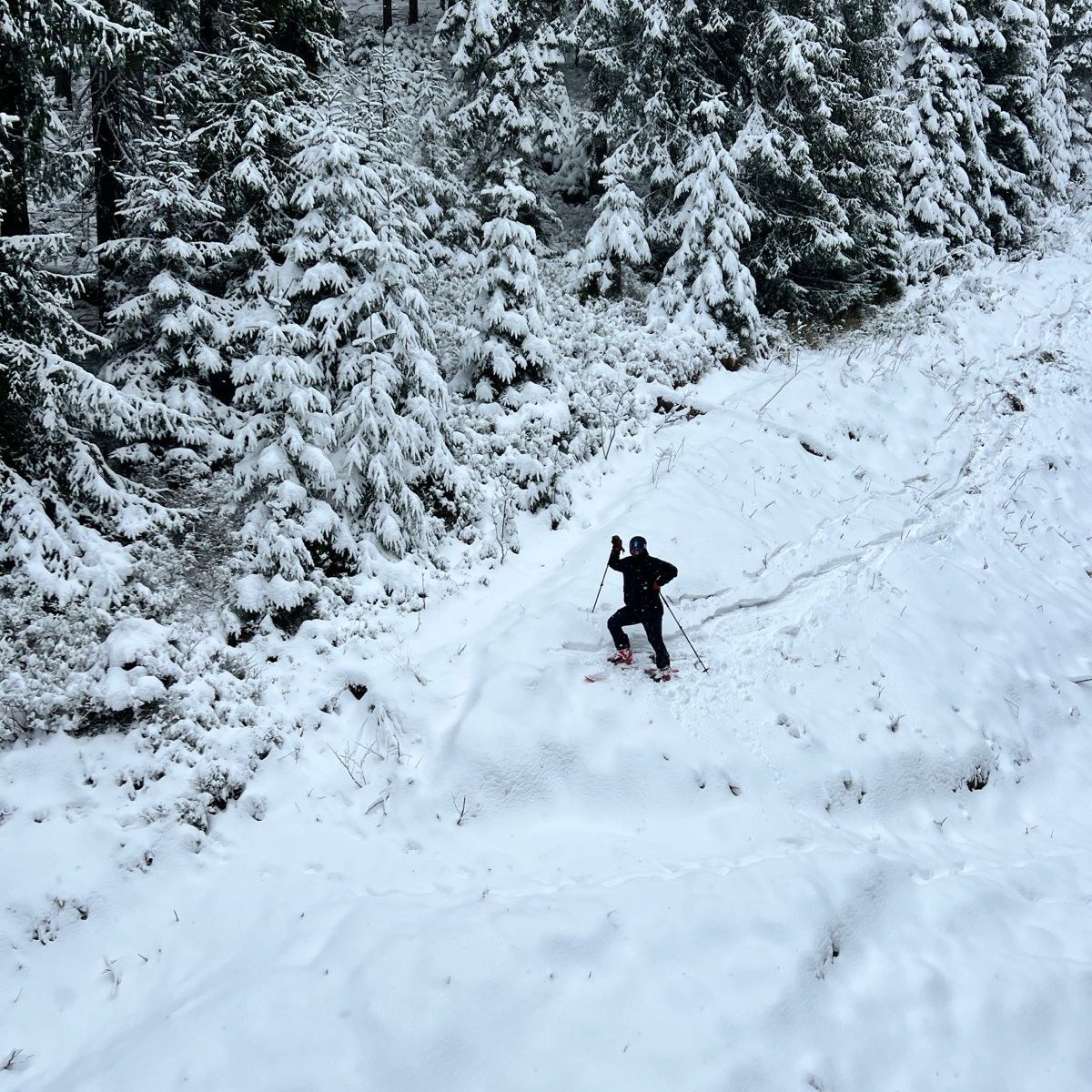 Skiing v Jasnej